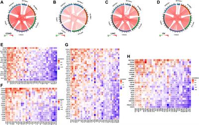 ISYNA1: An Immunomodulatory-Related Prognostic Biomarker in Colon Adenocarcinoma and Pan-Cancer